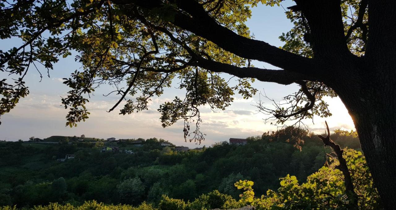 Cascina Brichat Alta Langa Serravalle delle Langhe Dış mekan fotoğraf